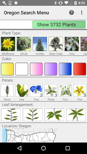 Oregon Wildflower Search