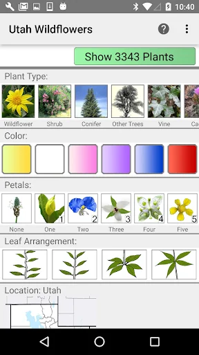 Utah Wildflowers