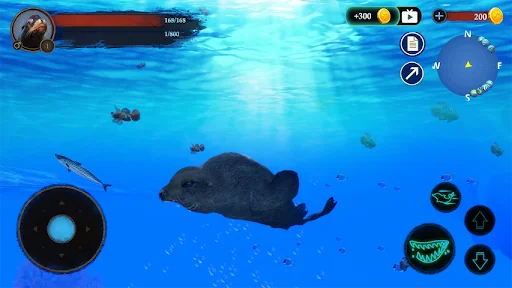 The Sea Lion screenshot 1