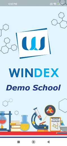 Windex School