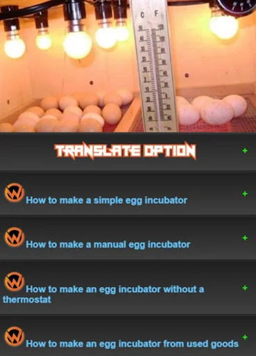 Learn to make an egg incubator