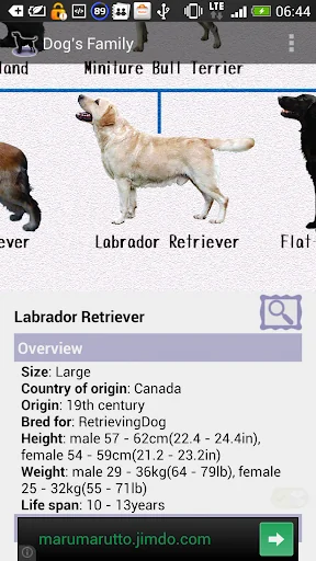 Dog Breeds screenshot 2