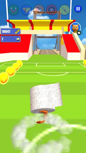 Toilet Paper Cat Run