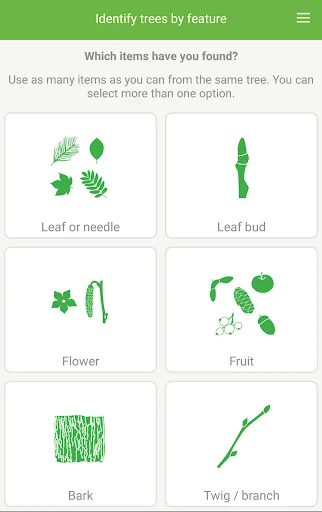 Tree ID - British trees screenshot 2