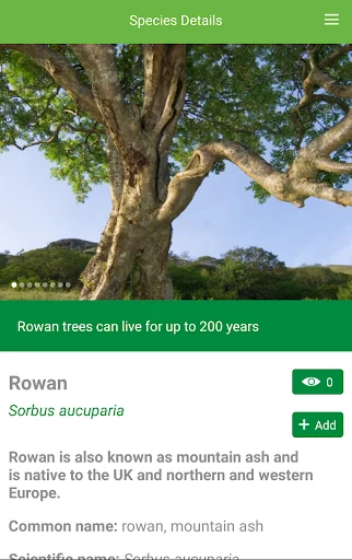 Tree ID - British trees screenshot 4