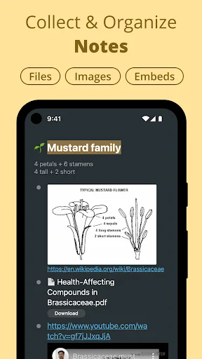 Workflowy |Note, List, Outline