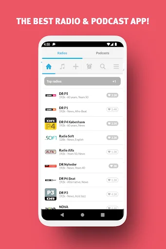 Radio Denmark - Radio FM