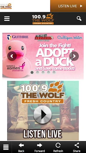 100.9 The Wolf (WPGI FM)
