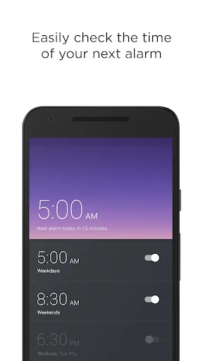 Alarm Clock Puzzle