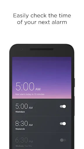 Alarm Clock Puzzle