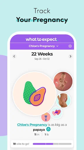 Pregnancy Tracker & Baby App