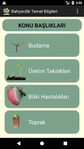 Bahçecilik Temel Bilgileri