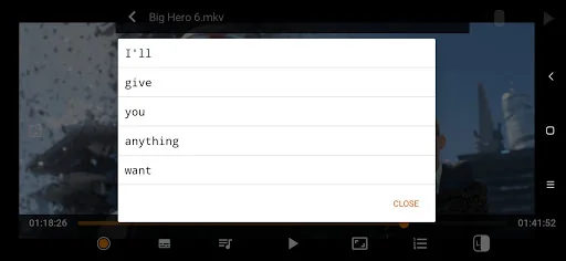 SubDictionary Video Player screenshot 4