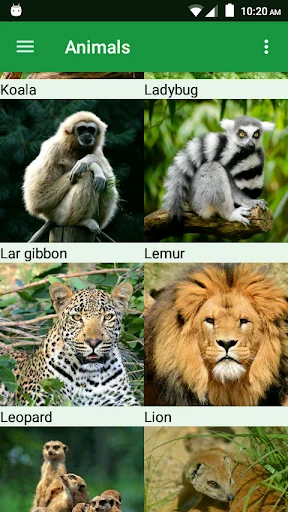 Wild Animals Puzzle
