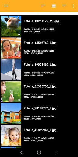 XnConvert - Photo Resize