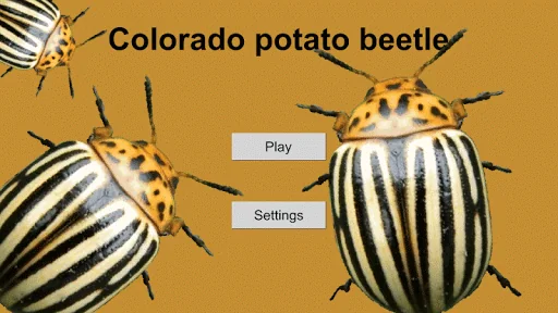 Crash of Beetle