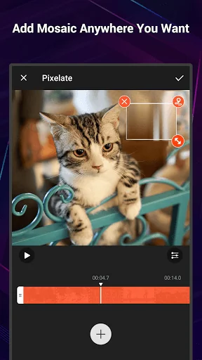 Video Editor VideoShow Pro screenshot 4