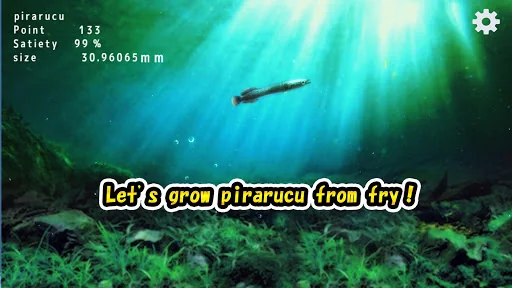 Pirarucu rising from fry screenshot 1