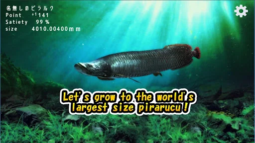 Pirarucu rising from fry screenshot 2