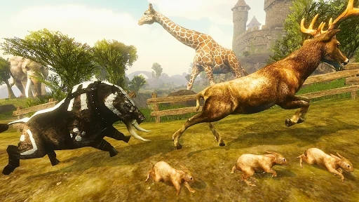 Boar King Life Simulator