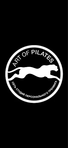 ART OF PILATES студия пилатеса