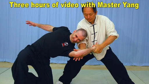 Tai Chi Martial Applications