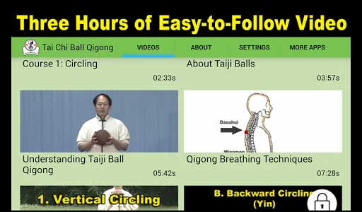 Tai Chi Ball Qigong (Dr. Yang) screenshot 2