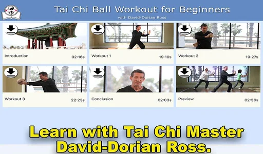 Tai Chi Ball Beginner