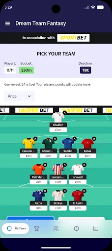 Dream Team Fantasy Football