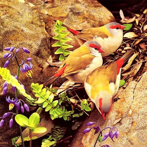 Birds Jigsaw Puzzles screenshot 1