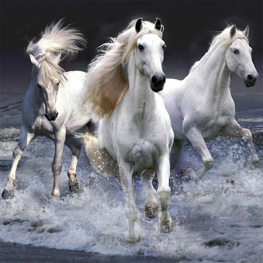Horses Jigsaw Puzzles screenshot 2