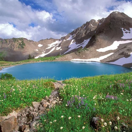 Nature Jigsaw Puzzles screenshot 1