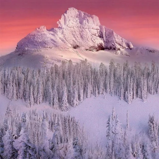 Nature Jigsaw Puzzles screenshot 4