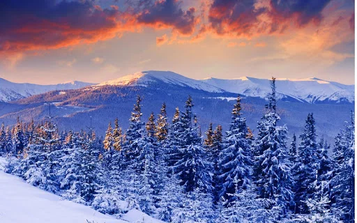 Snowscape Jigsaw Puzzles screenshot 2
