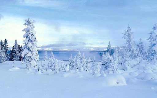 Snowscape Jigsaw Puzzles screenshot 3