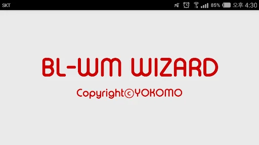 YOKOMO BL-WM WIZARD