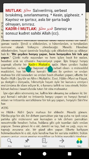 Risale-i Nur Okuma Programı screenshot 4
