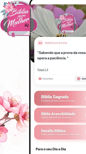 Bíblia para Mulher MP3