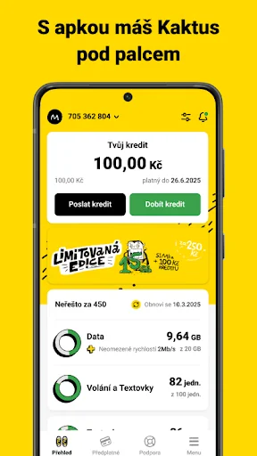 Kaktus