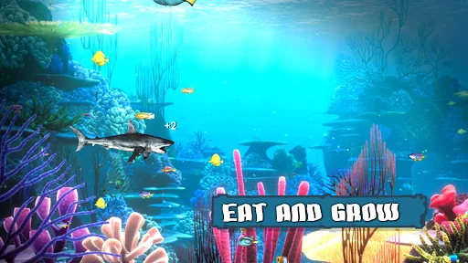 King of the Fish Tank screenshot 3