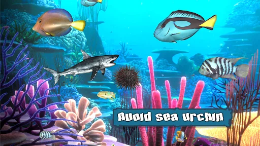 King of the Fish Tank screenshot 4