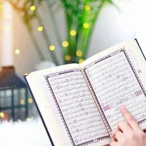 أحكام التجويد للمبتدئين