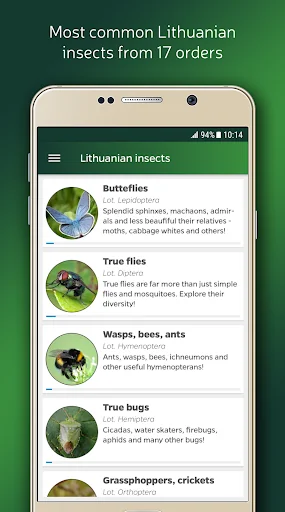 Entomologas screenshot 1