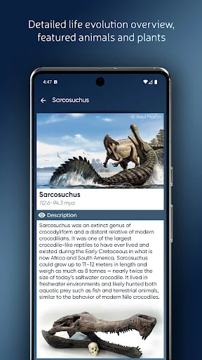Paleontologas screenshot 3