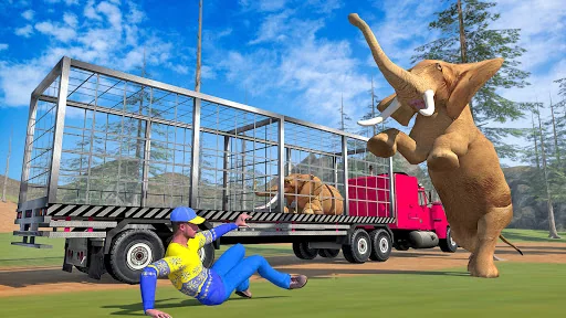 Animal Transport Truck Driving
