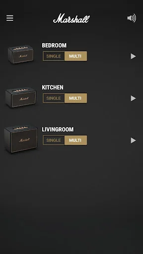 Marshall Multi-Room