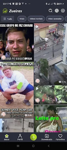 Zueiras - Imagem, Vídeo e Gif