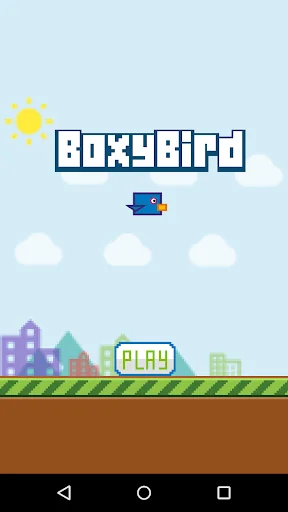 Boxy Bird