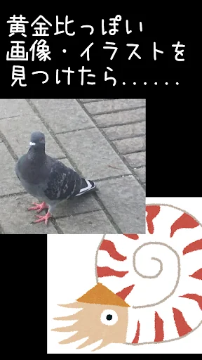 黄金比サガース
