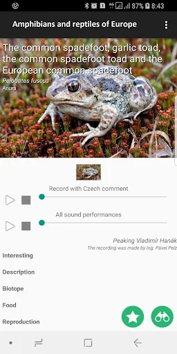 Amphibians and reptiles of Eur